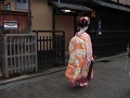 Kyoto Maiko